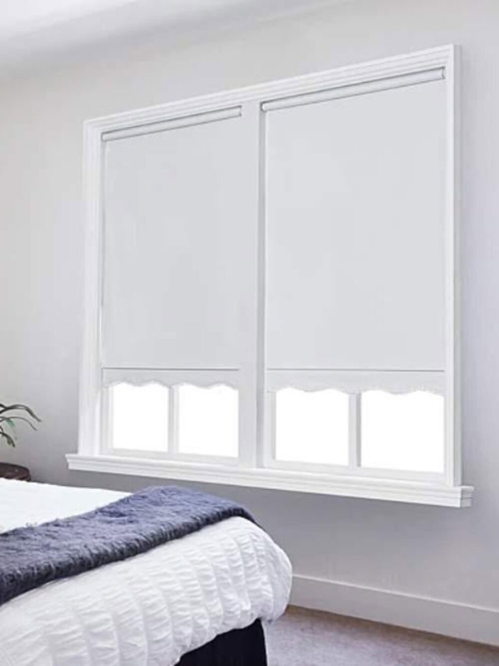 Cordless Vinyl Spring Roller Shade Fringed Brilliant White 33.5'' x 64''